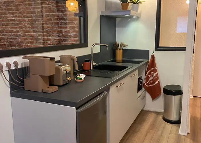 Apartamento La Toulousaine - Terrasse - Parking - Hyper Centre