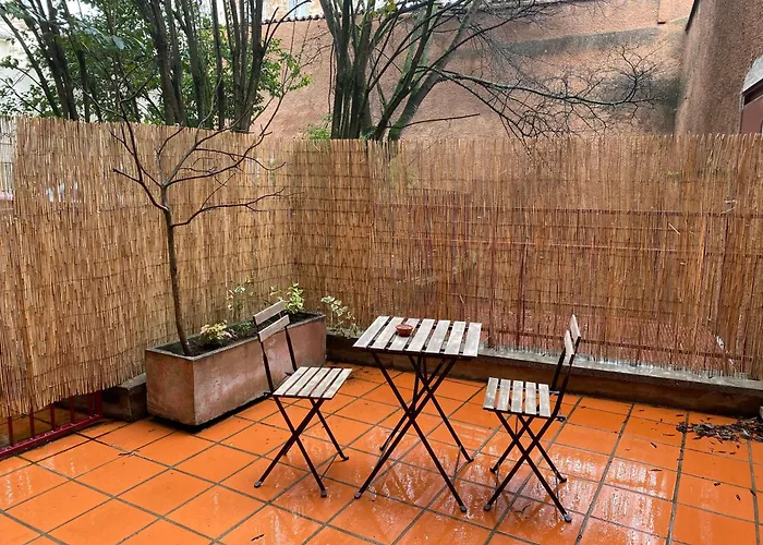 La Toulousaine - Terrasse - Parking - Hyper Centre * Toulouse