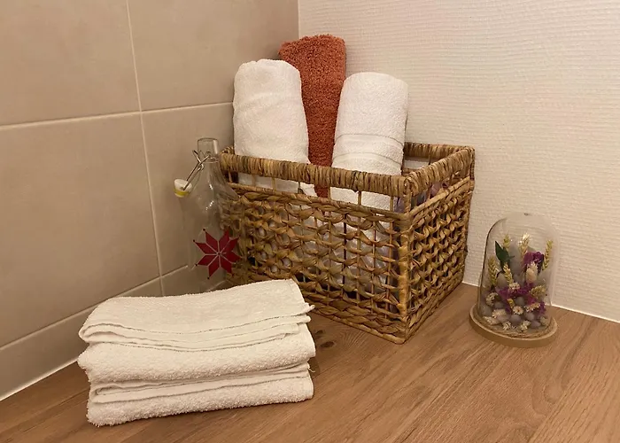 La Toulousaine - Terrasse - Parking - Hyper Centre Toulouse