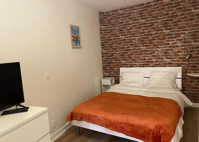 La Toulousaine - Terrasse - Parking - Hyper Centre Apartment Toulouse